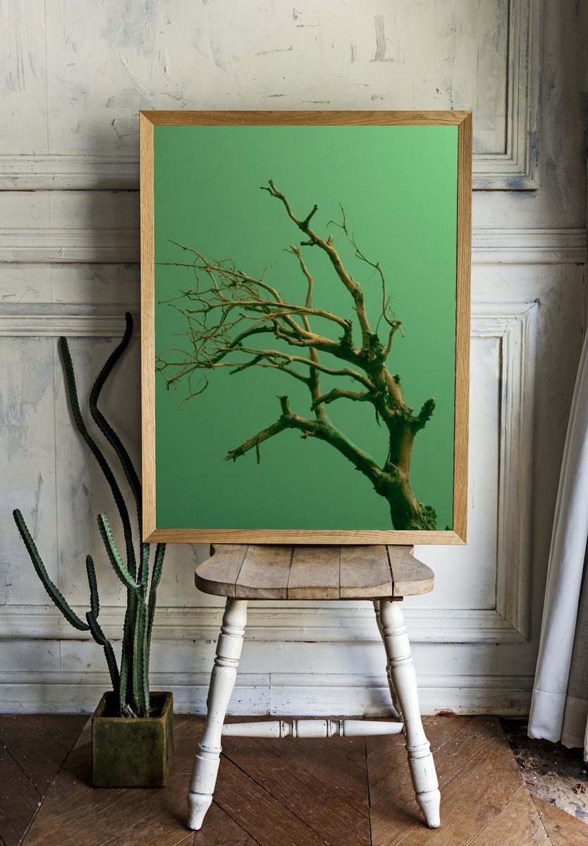 Solitary Tree Branches Print. room preview