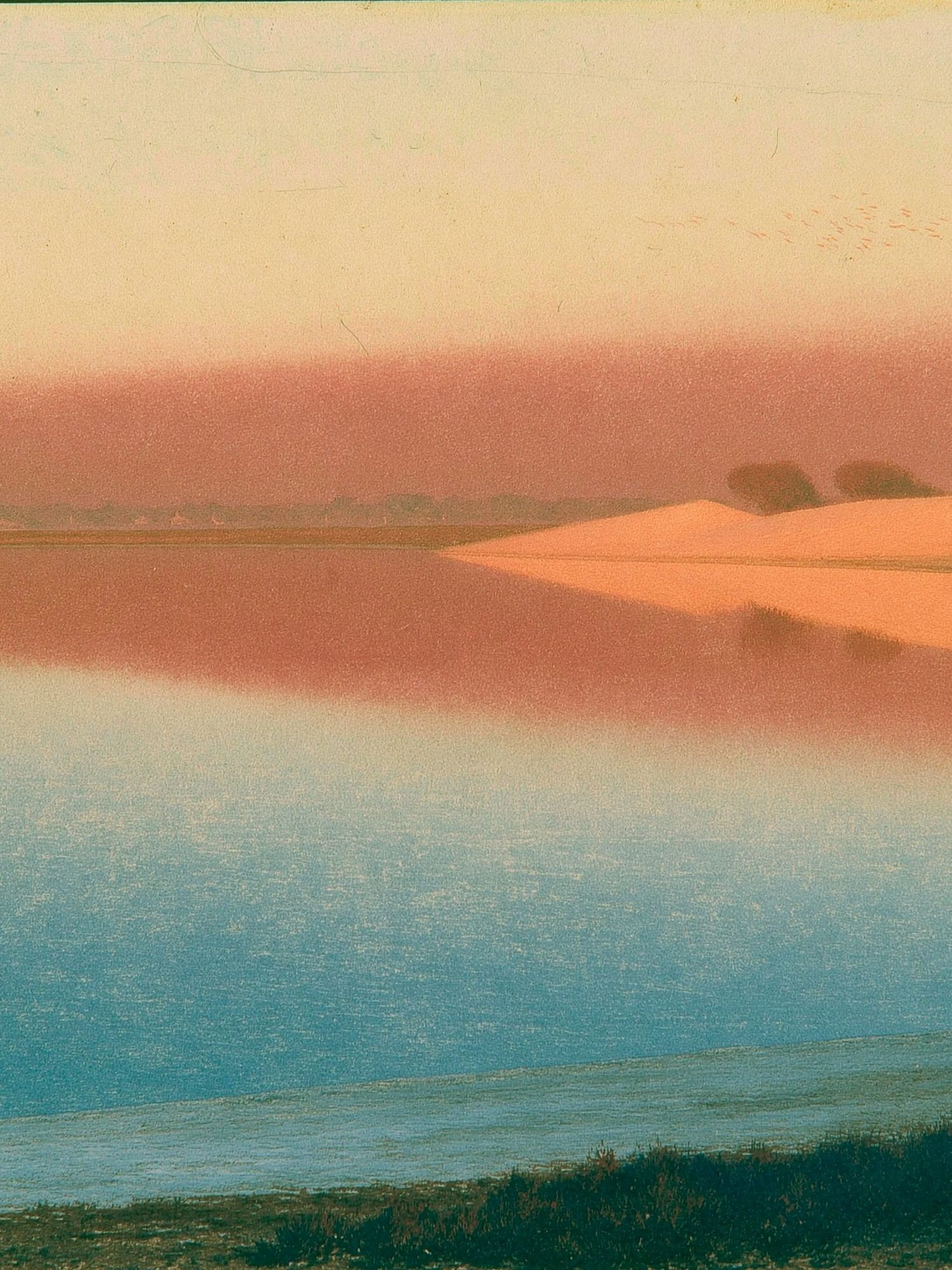 Pastel Coastal Dunes Landscape Print. poster detail