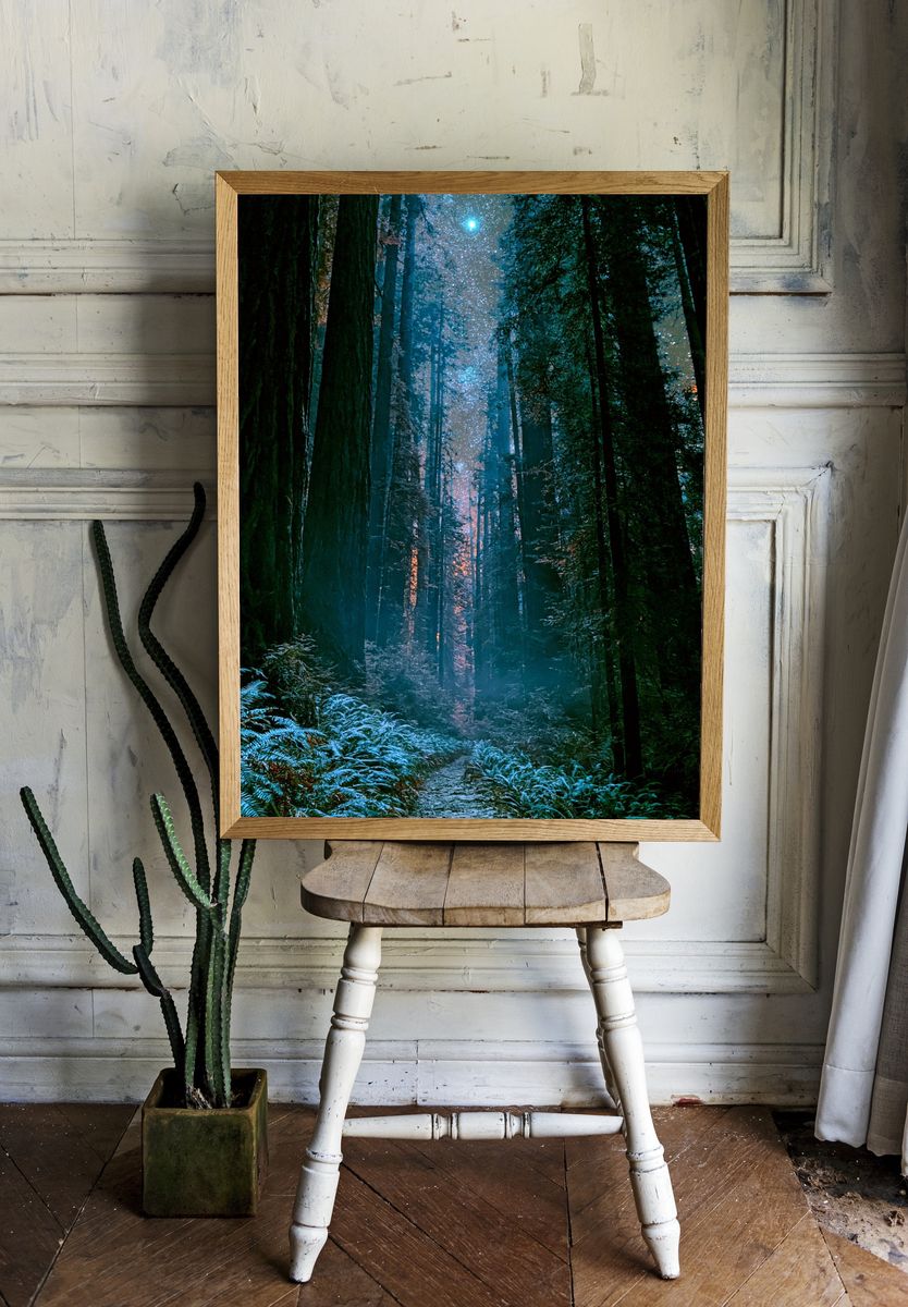 Moonlit Redwood Forest Poster. room preview