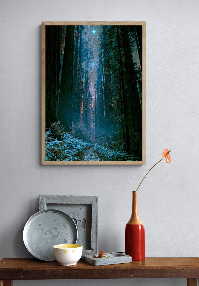 Moonlit Redwood Forest Poster. — room view 3