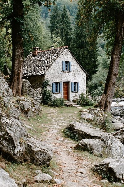 Rustic Forest Cottage Poster. poster