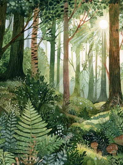 Sunlit Forest Watercolor Poster.