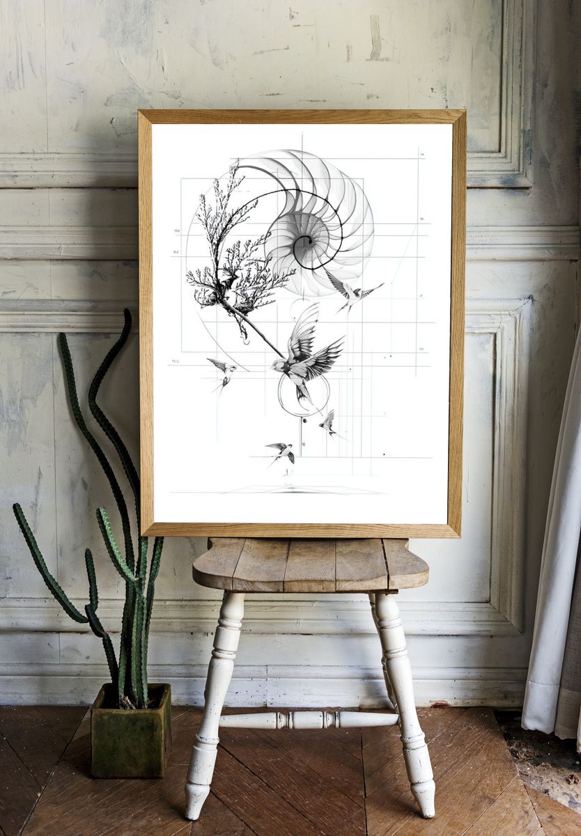 Nautilus and Birds Ink Print. — room view 1