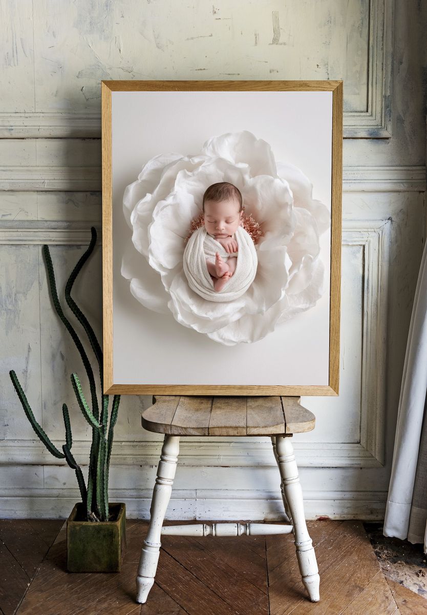 Sleeping Newborn Flower Portrait Print. — room view 1