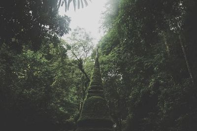 Moss-Covered Stupa in Lush Forest — Nature Print