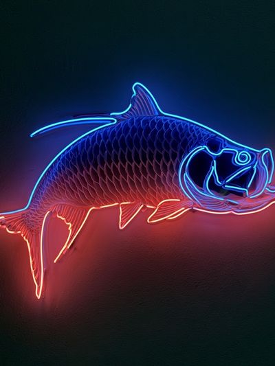 Neon Fish Illustration Poster. poster