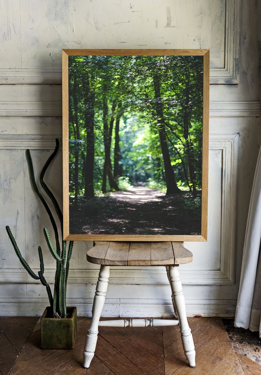 Lush Forest Path — Nature Print. room preview