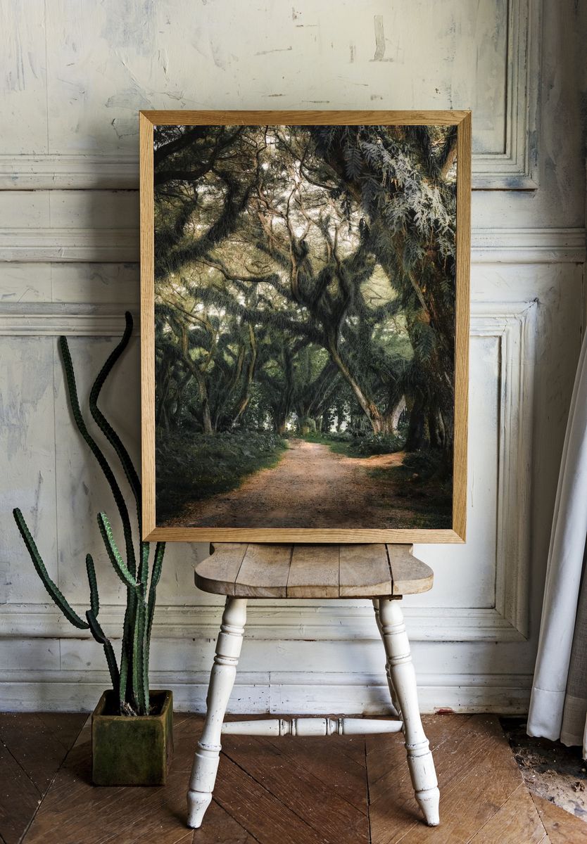 Enchanted Forest Path — Nature Print room preview