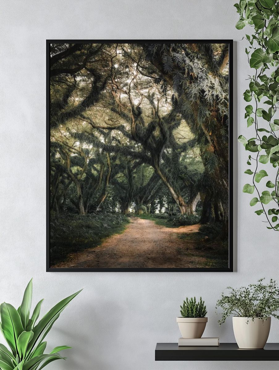 Enchanted Forest Path — Nature Print. — room view 4