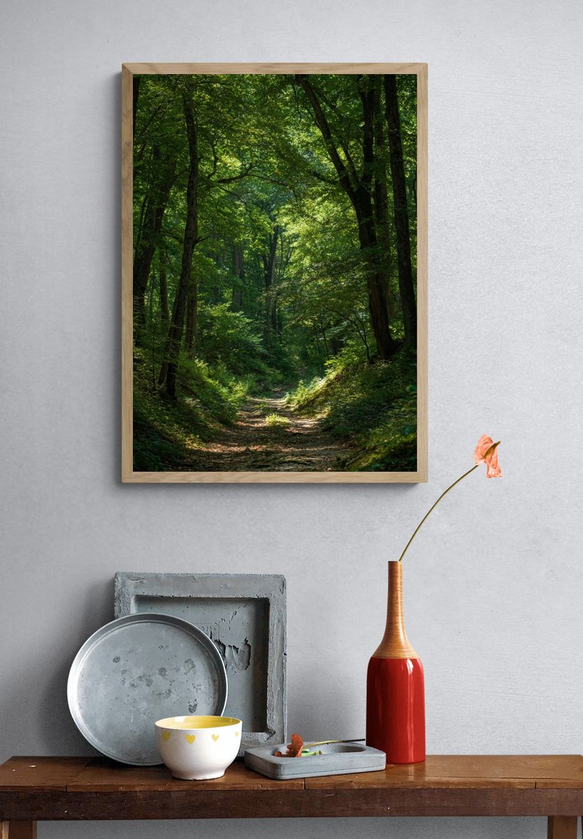 Serene Forest Path — Nature Poster. — room view 3