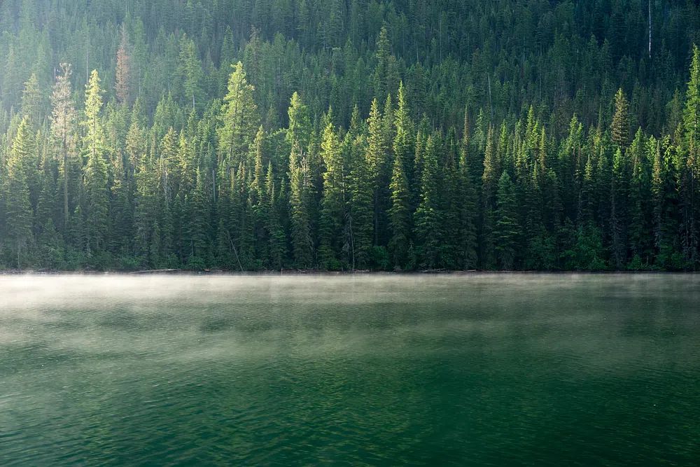 Misty Forest Reflection — Nature Print. poster — nature art