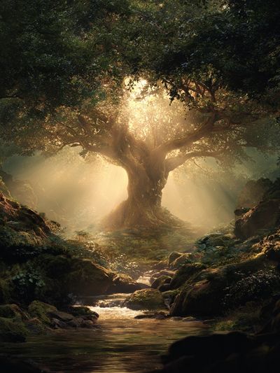 Majestic Tree in Enchanted Forest Poster