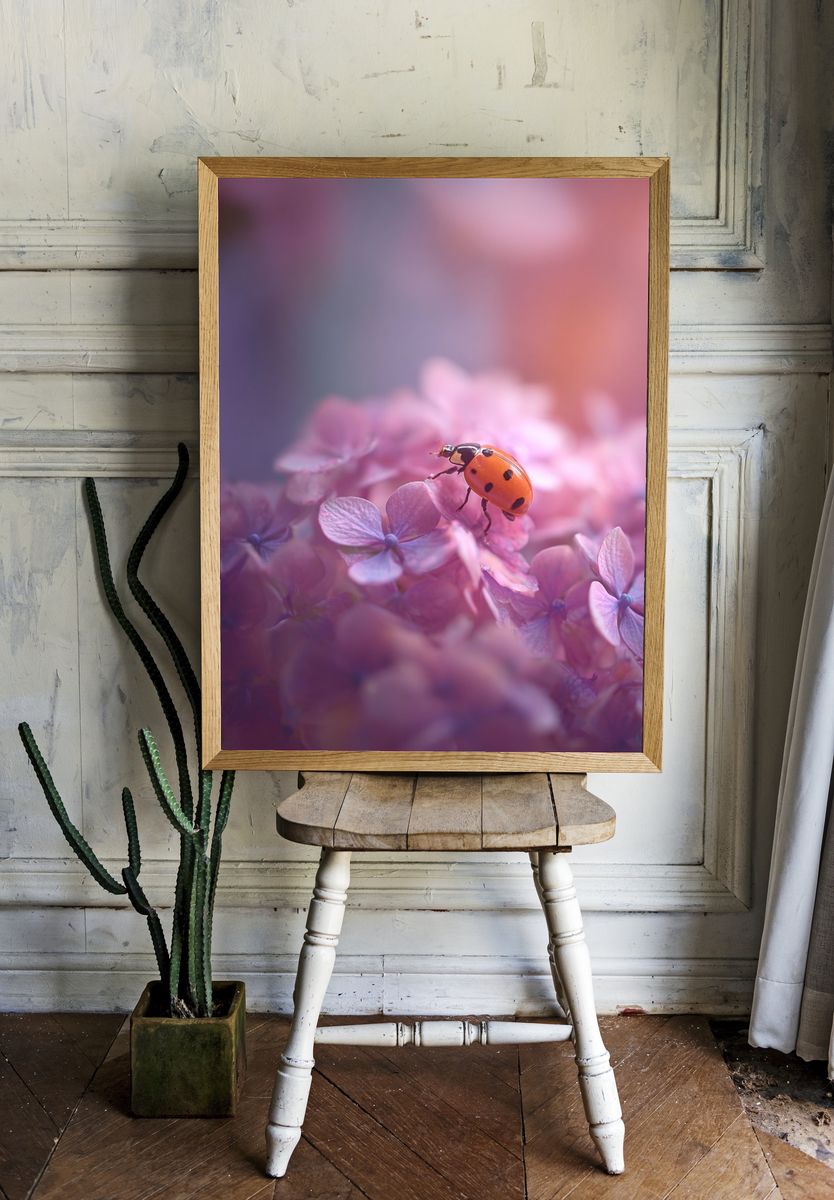 Ladybug on Pink Flowers Poster room preview