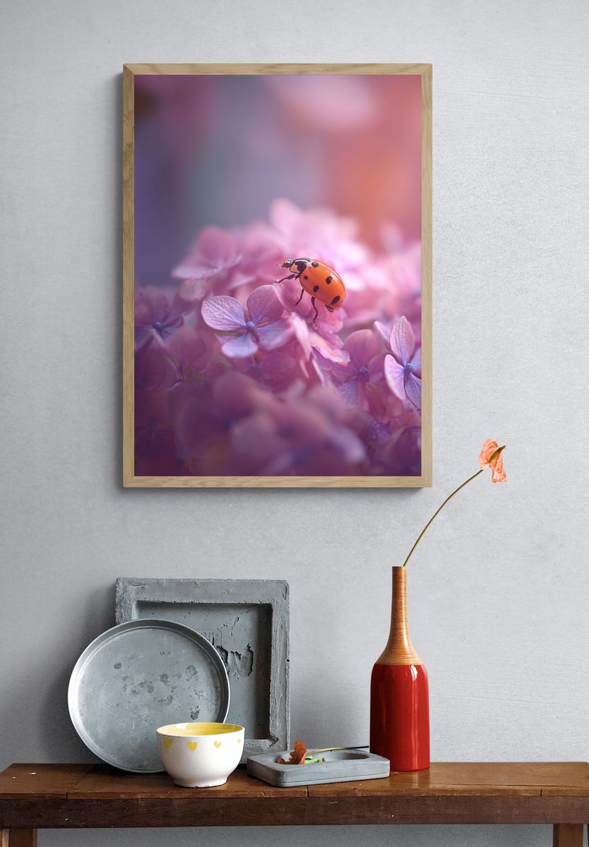 Ladybug on Pink Flowers Poster. — room view 3