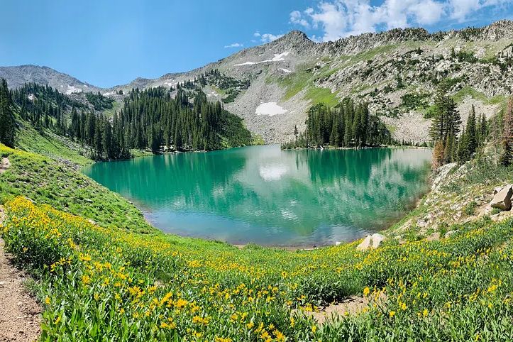 Mountain Lake with Wildflowers — Nature Poster. poster detail