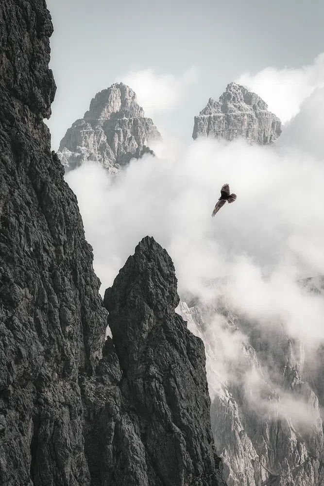 Majestic Mountains and Bird — Photography Print. poster — nature art
