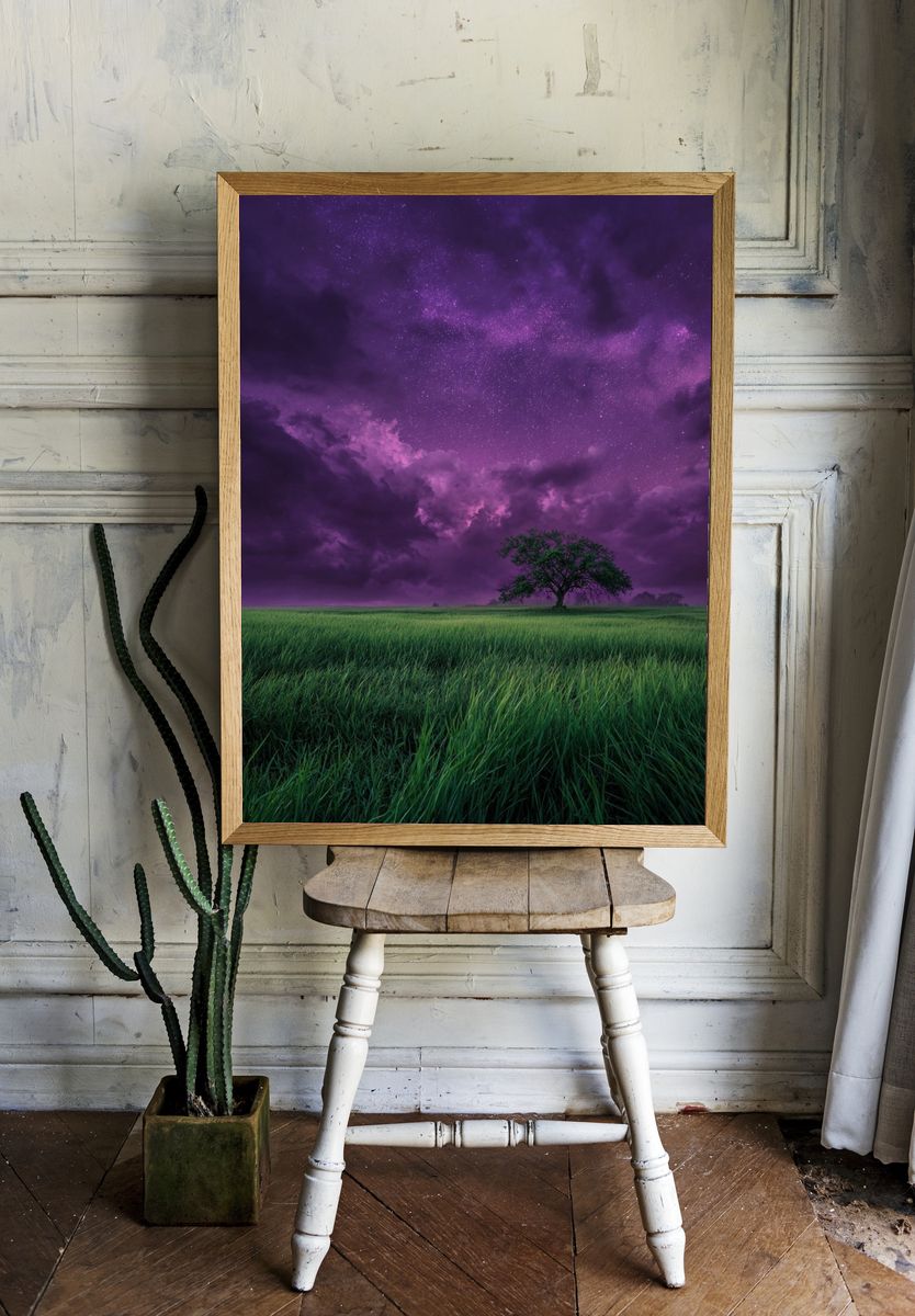 Starry Night Sky Over Green Field — Photography Print. — room view 1