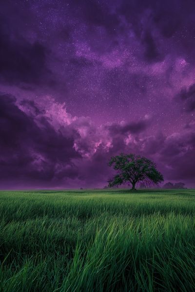 Starry Night Sky Over Green Field — Photography Print