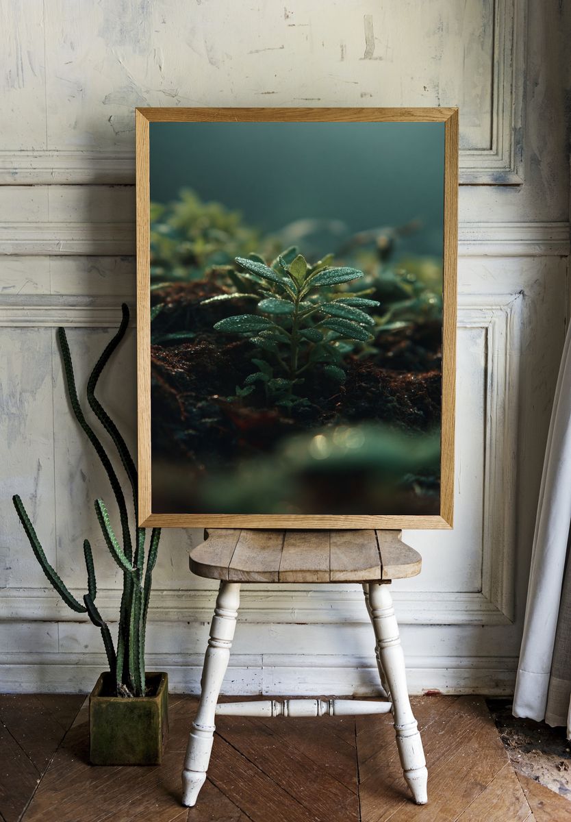 Dewy Green Plant — Nature Print. room preview
