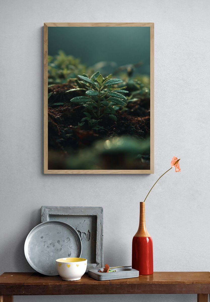 Dewy Green Plant — Nature Print. — room view 3
