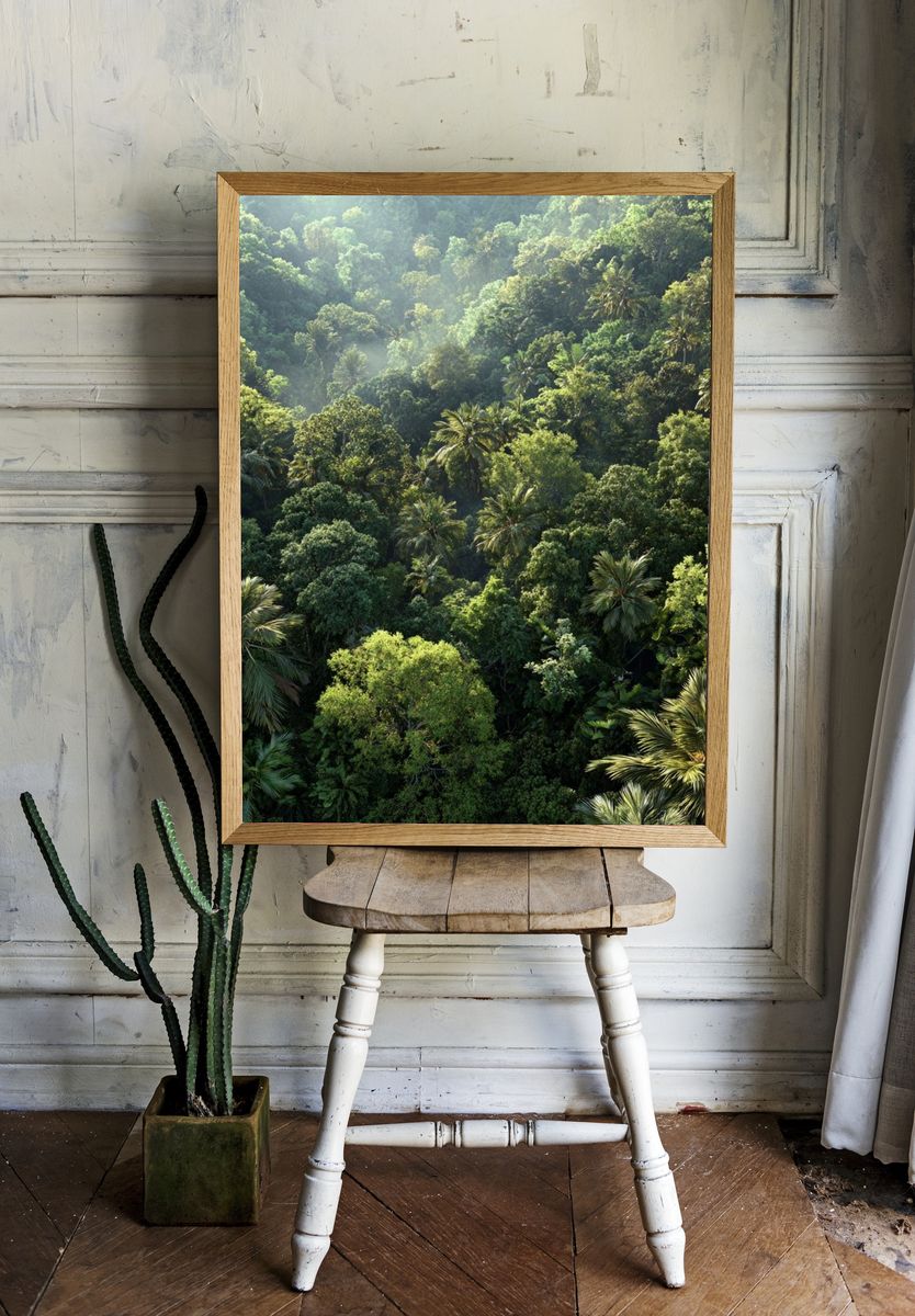 Lush Tropical Forest — Nature Print. — room view 1