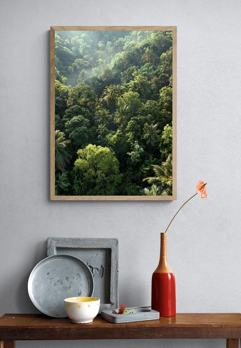 Lush Tropical Forest — Nature Print. — room view 3