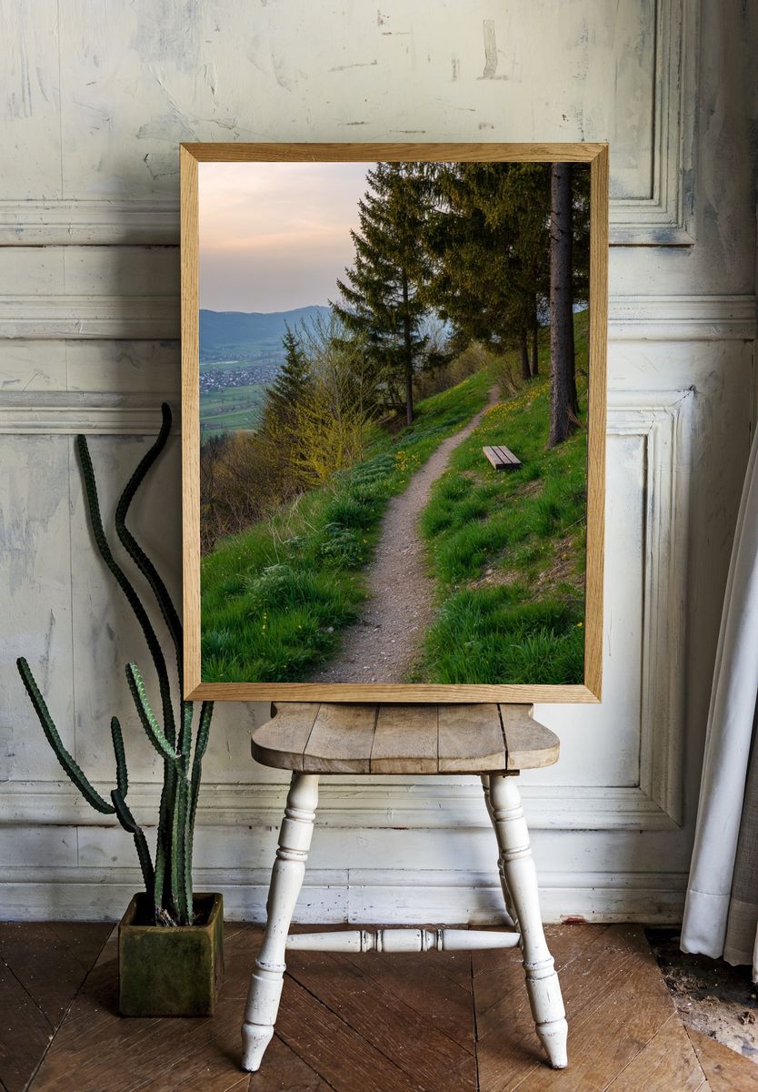 Serene Nature Path — Photography Print. room preview