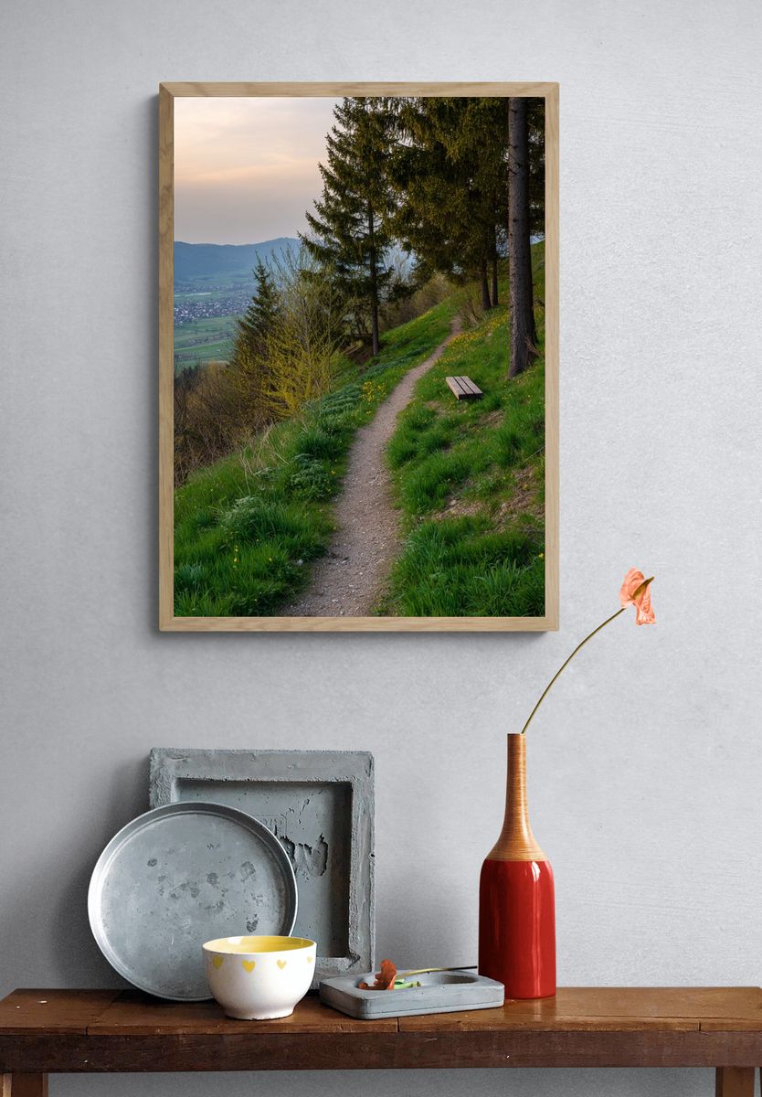 Serene Nature Path — Photography Print. — room view 3