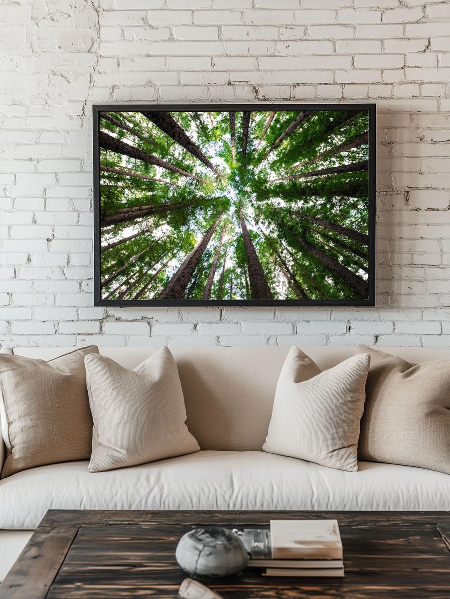 Looking Up at Tall Trees — Nature Poster room preview
