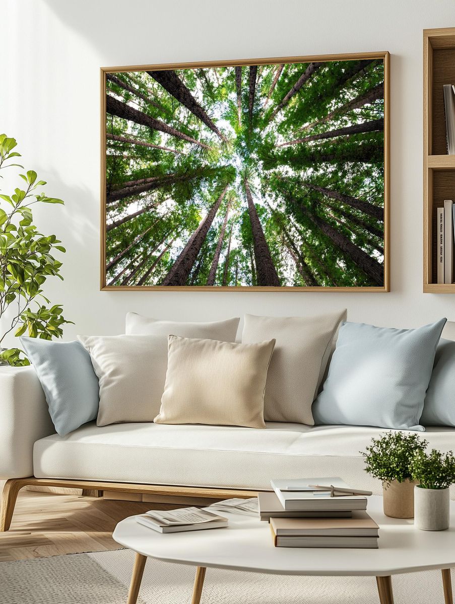 Looking Up at Tall Trees — Nature Poster. — room view 2