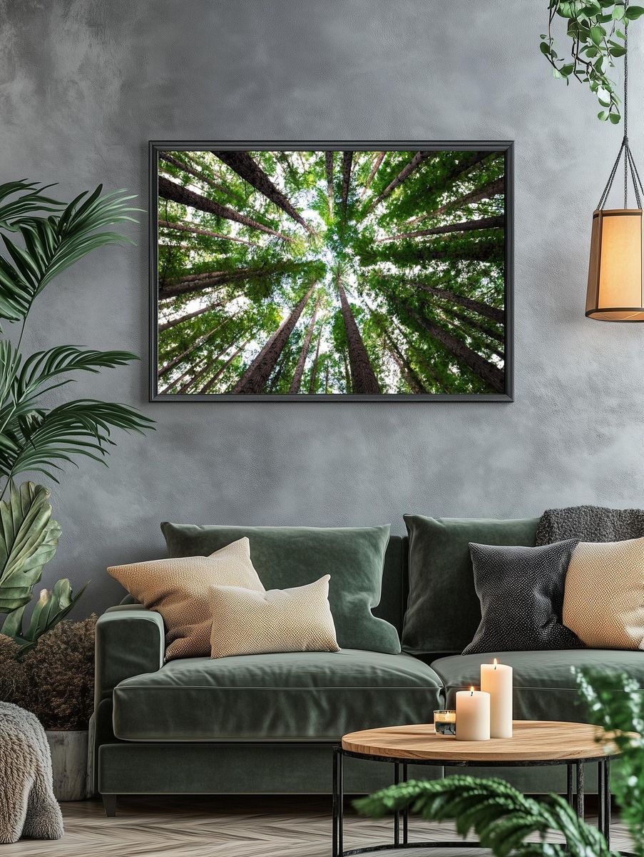 Looking Up at Tall Trees — Nature Poster. — room view 4