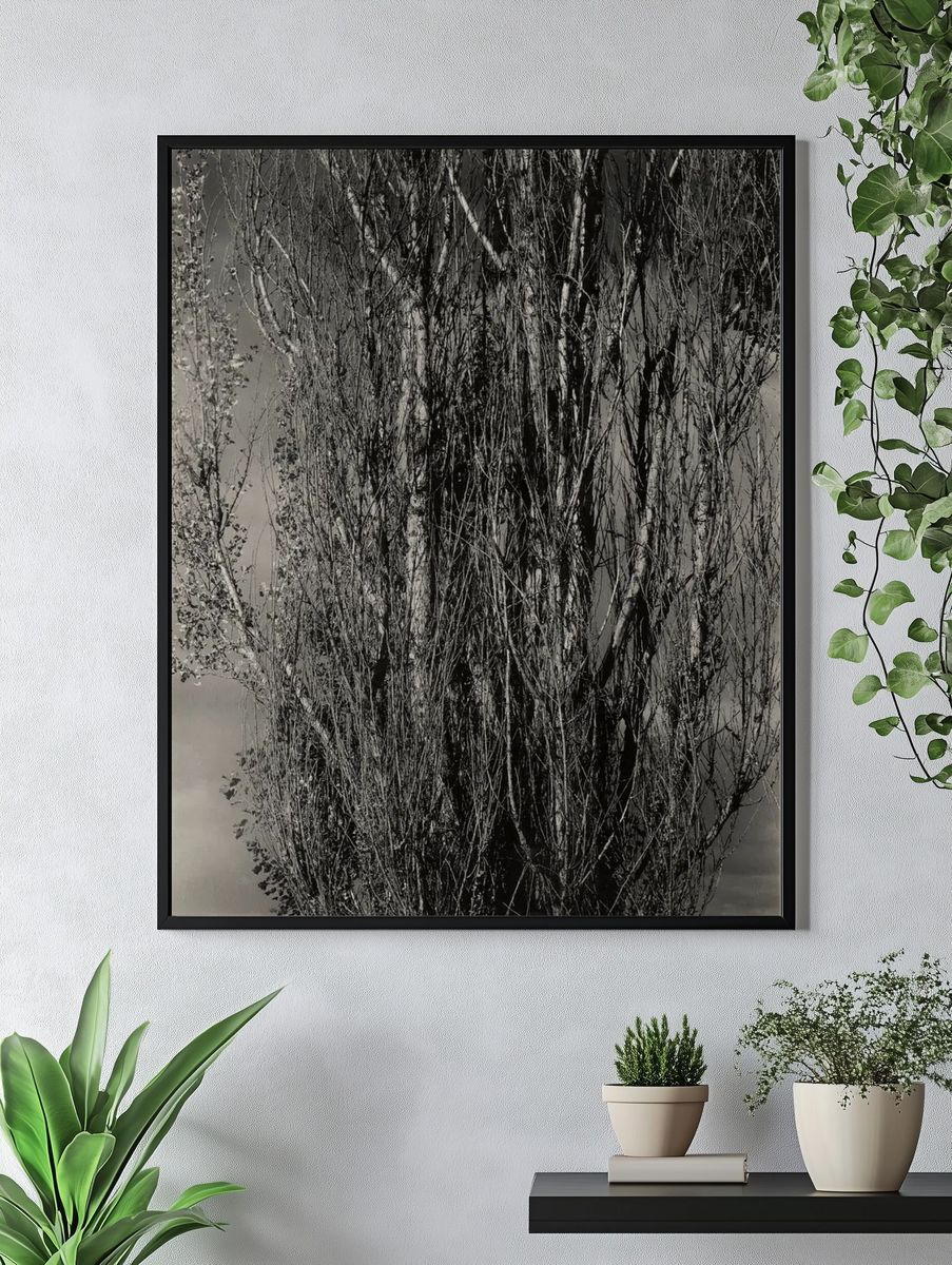 Monochrome Tree Silhouette Poster. — room view 4