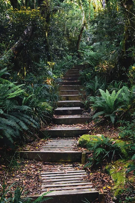 Forest Pathway — Nature Poster. poster detail