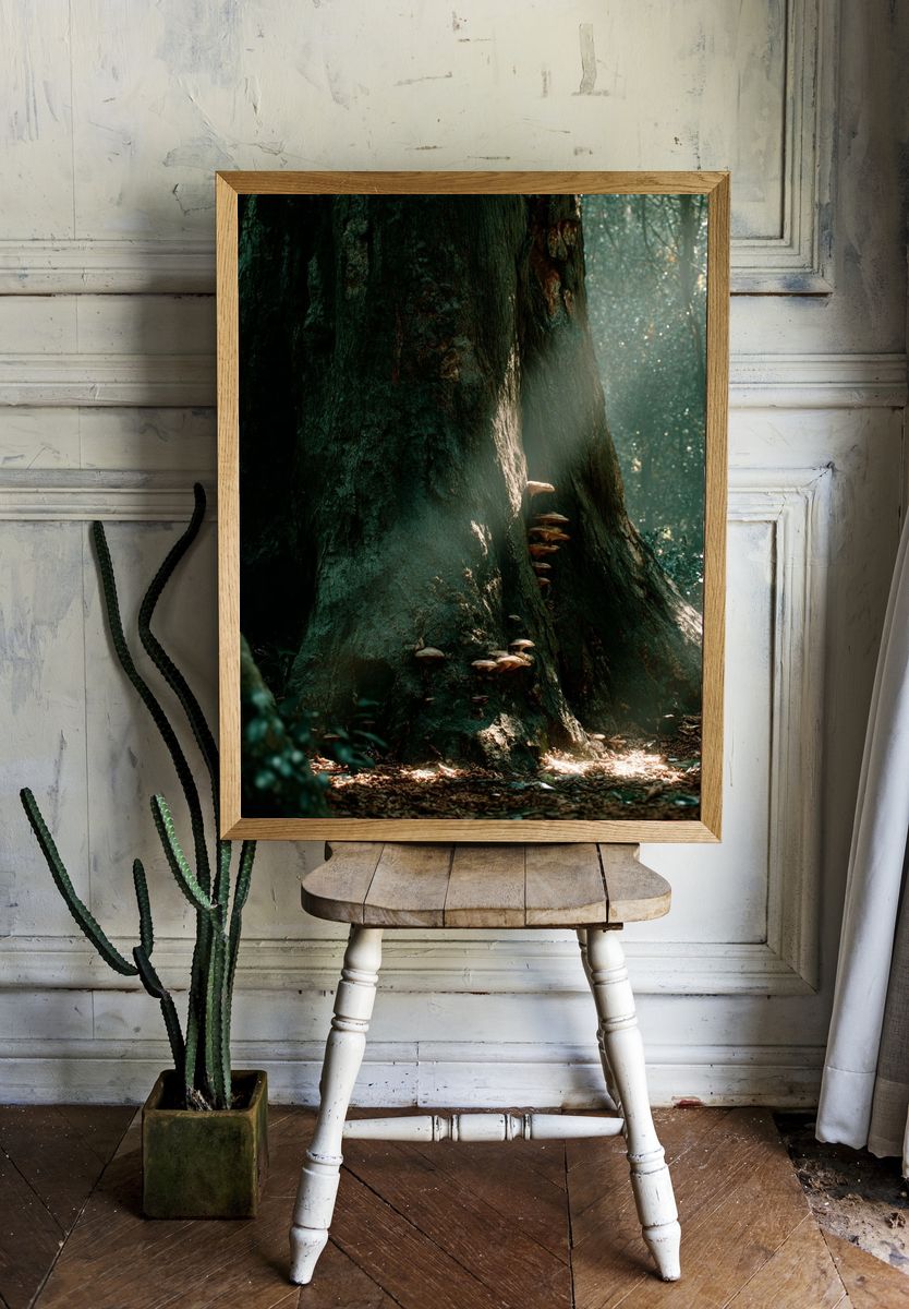 Mushroom Growth on Ancient Tree — Nature Print room preview