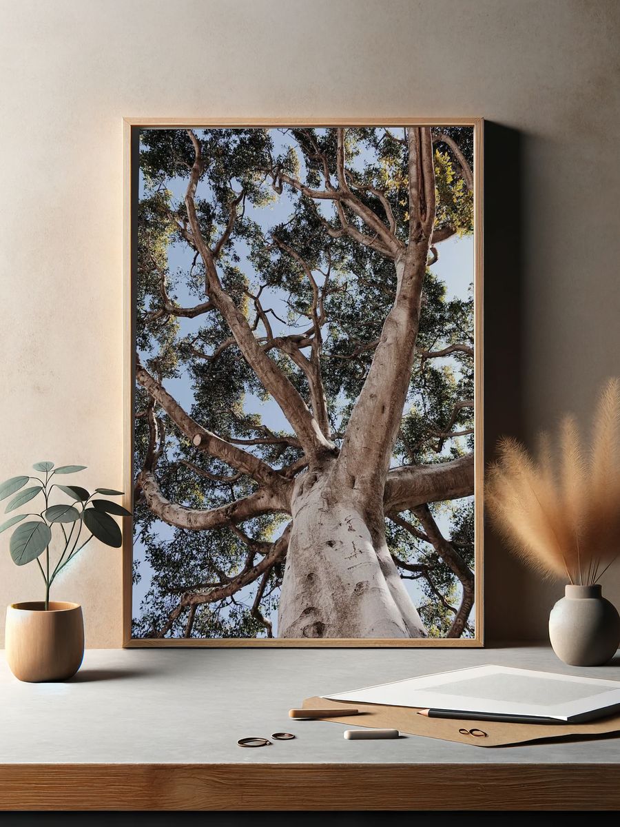Majestic Tree Canopy — Nature Print. — room view 2