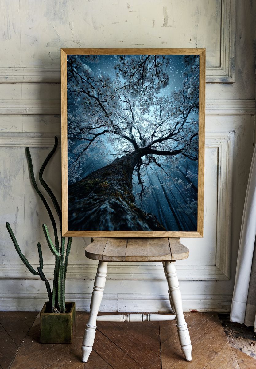 Cherry Blossom Tree — Nature Poster room preview