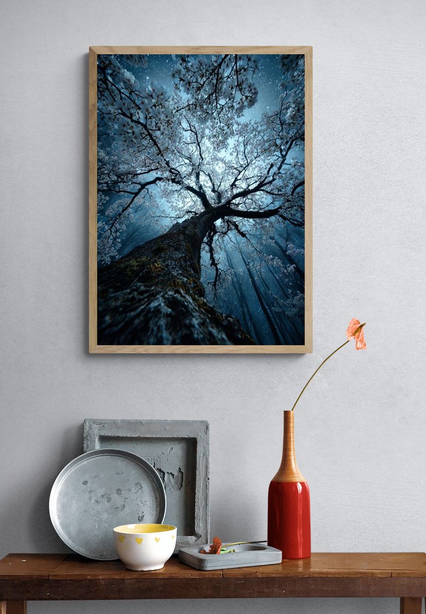 Cherry Blossom Tree — Nature Poster. — room view 3