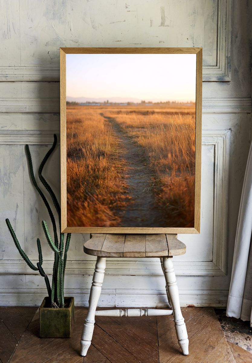 Golden Pathway at Sunset Poster. — room view 1
