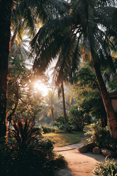 Tropical Paradise — Nature Poster.