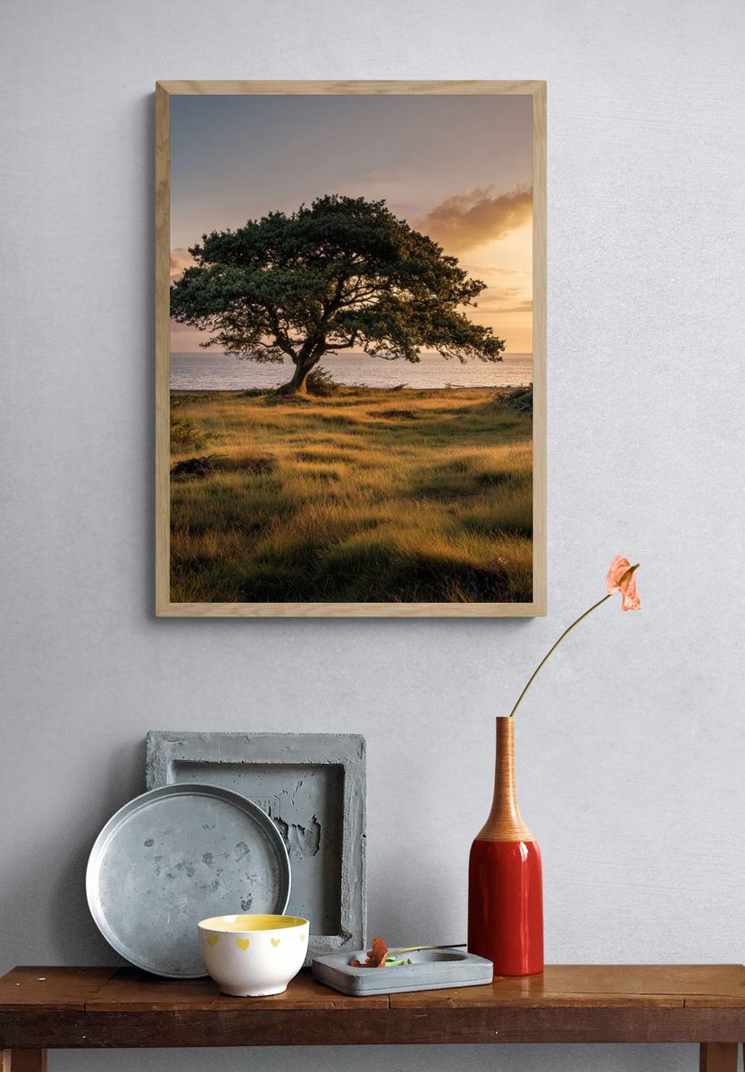 Solitary Tree at Sunset Poster. — room view 3