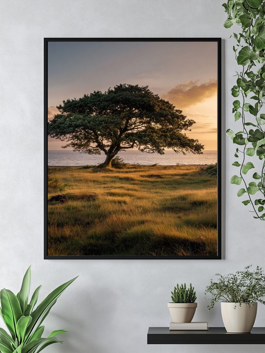 Solitary Tree at Sunset Poster. — room view 4