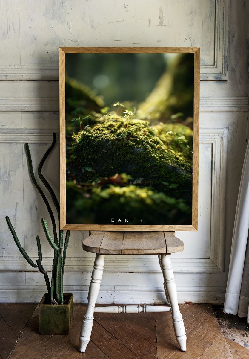 Earth — Nature Photography Poster room preview