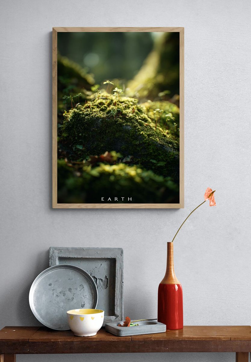 Earth — Nature Photography Poster. — room view 3