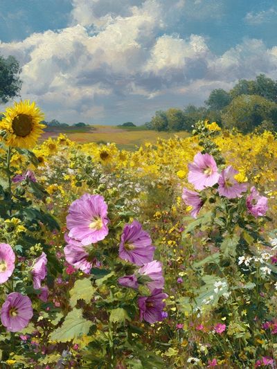 Sunflower and Wildflower Field — Fine Art Print.