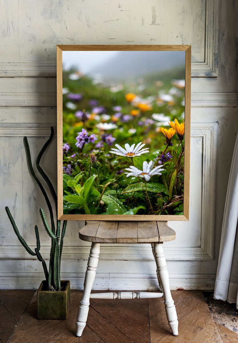 Dewy Wildflowers — Nature Print. — room view 1