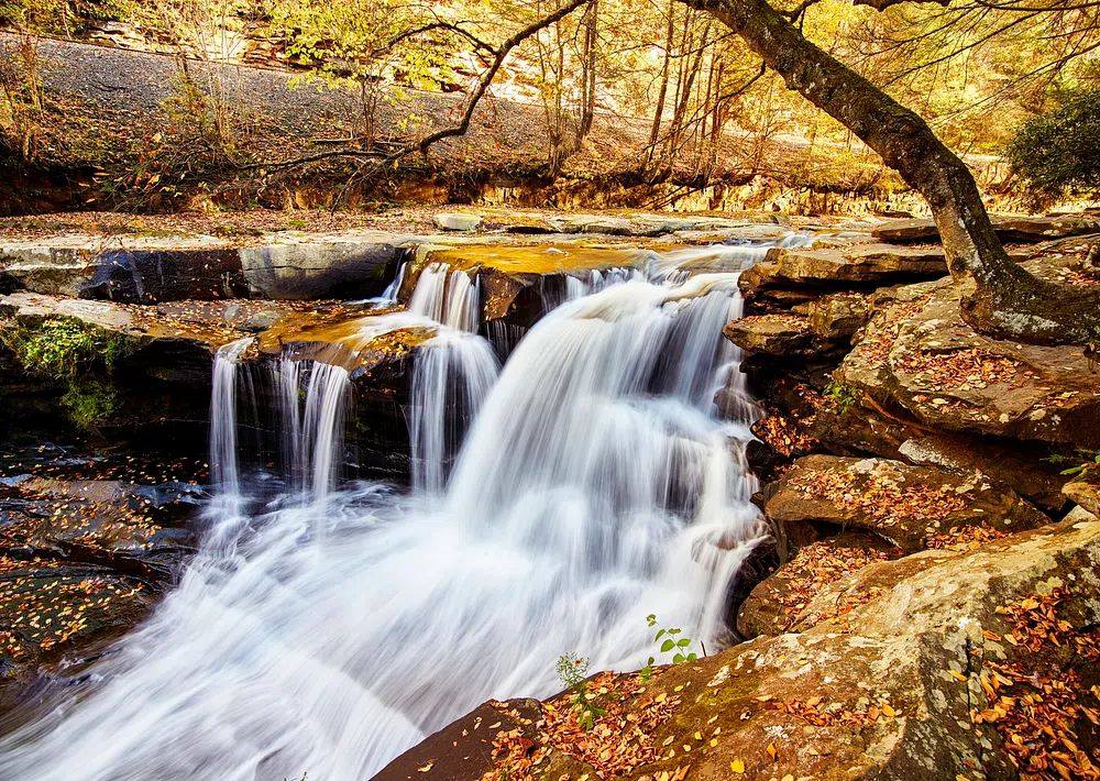 Serene Waterfall in Autumn — Nature Print. poster detail