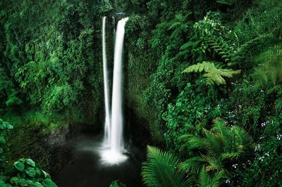Majestic Waterfall — Nature Print. poster
