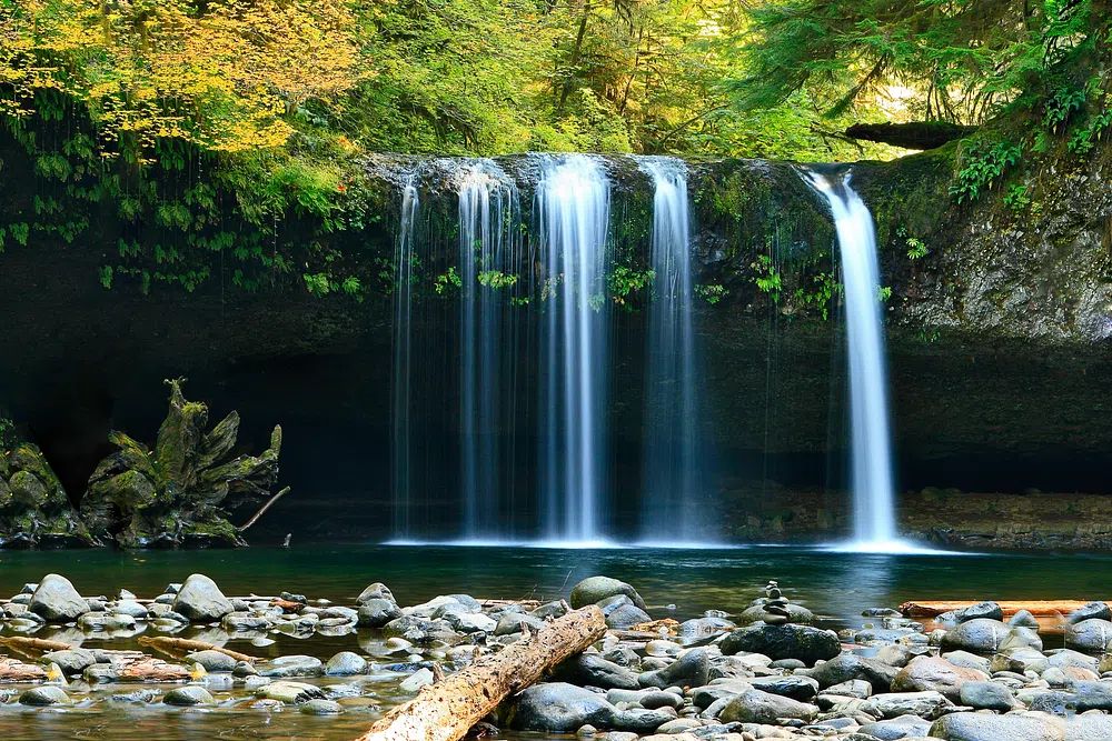 Serene Waterfall — Nature Print. poster detail