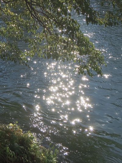 Sparkling Water Reflection — Nature Poster. poster