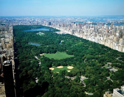 Central Park Aerial View — Photography Print. poster